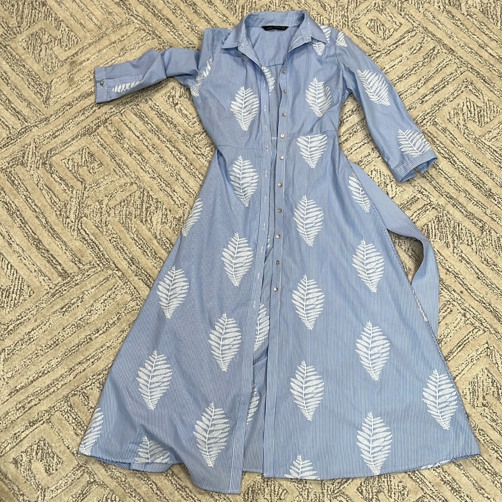 Zara blue and white striped button down dress
